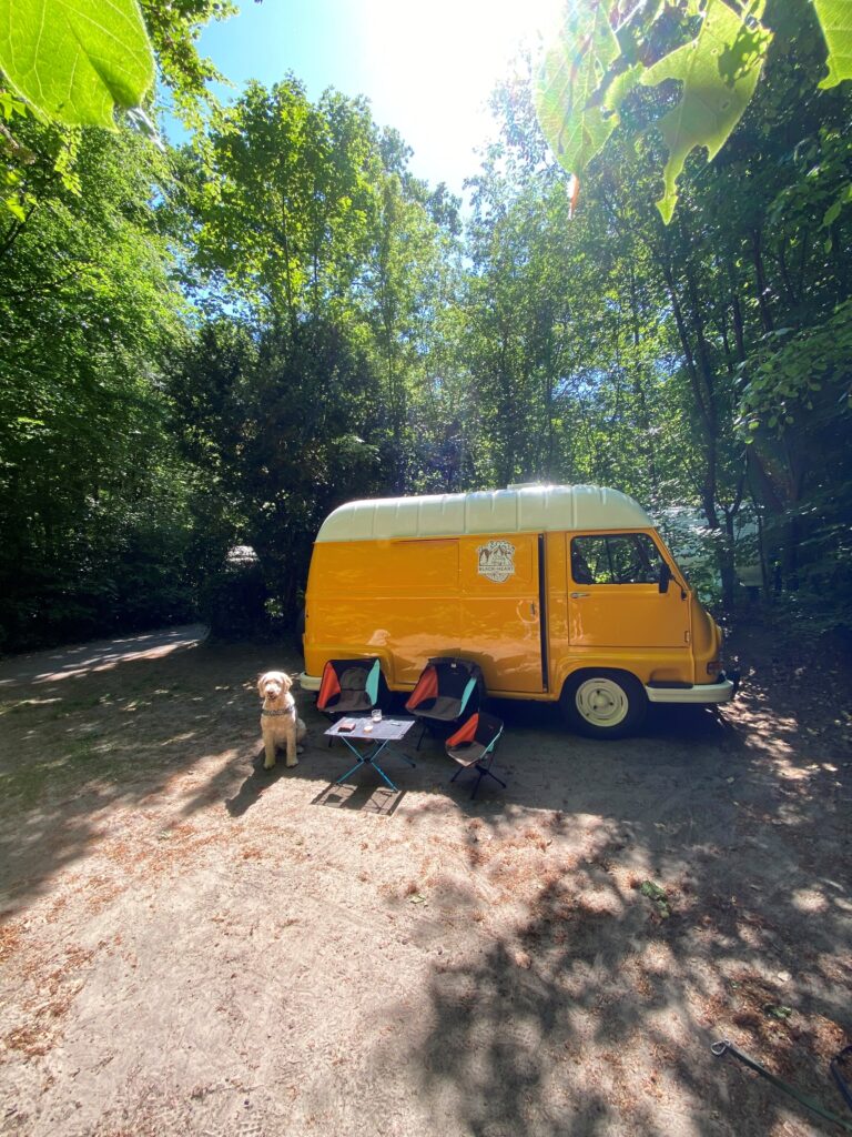 Camper Renault Estafette, kamperen in de natuur, te huur, Tenacious twinkie