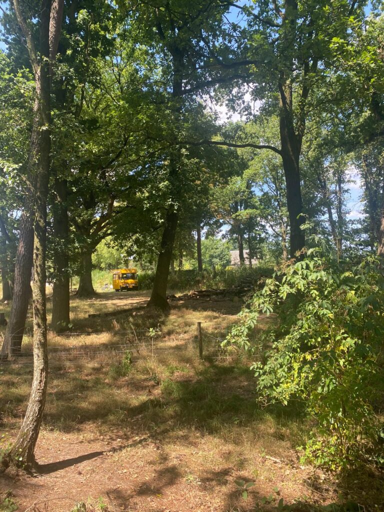 Renault estafette op de camping Wylder woods